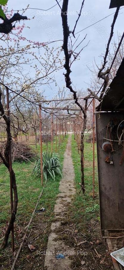 Vand casa 4 camere - 4