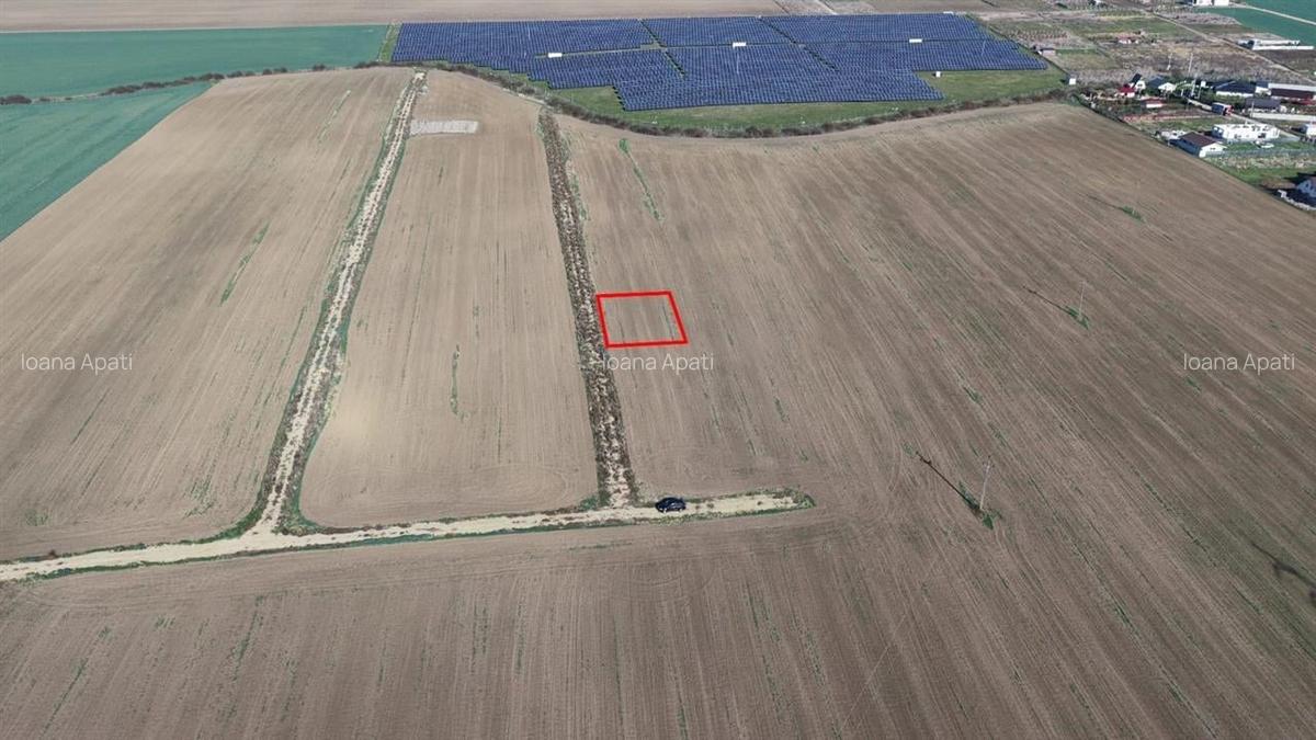 RECO Teren intravilan in LIvada de Bihor - 4