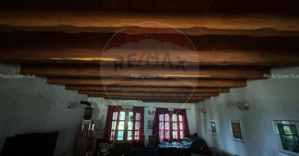 DE VANZARE CASTEL IN MARAMURES - 7