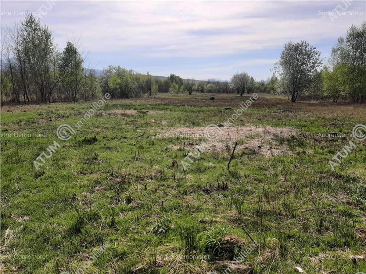 Teren intravilan 2700 mp pe Valea Avrigului localitate Avrig - 1