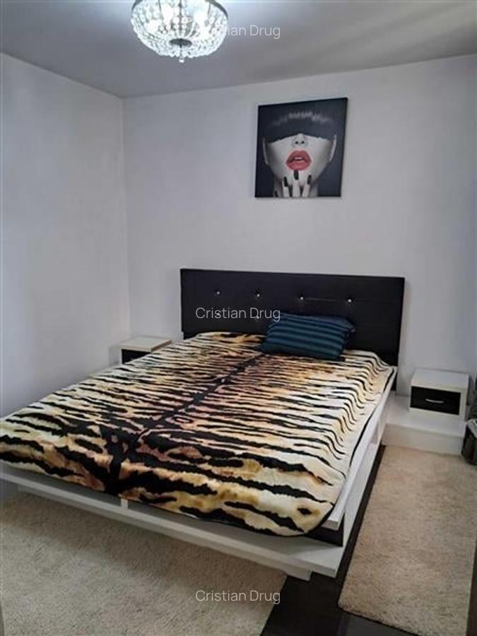 Apartament 2 camere Dristor - 3