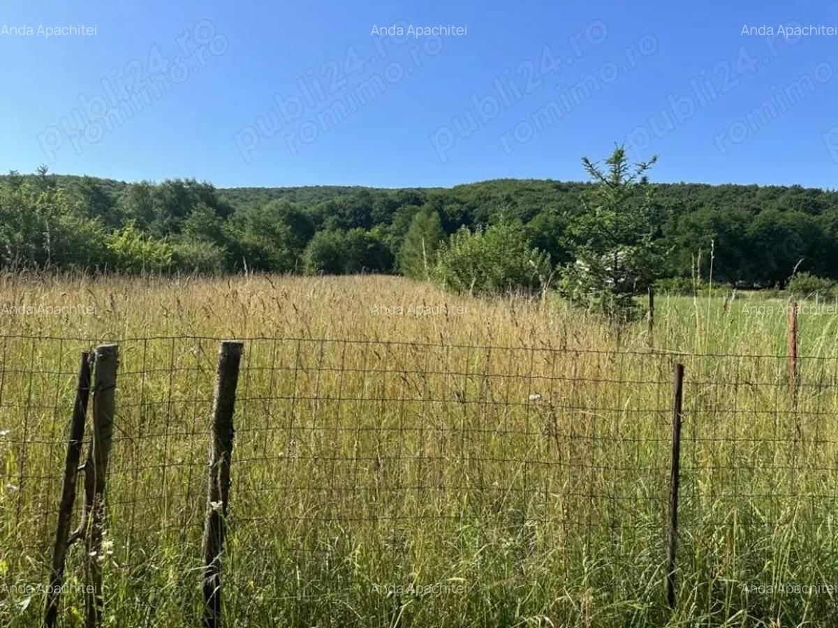 Casa Individuala cu teren de 2800 mp Ozun - 4