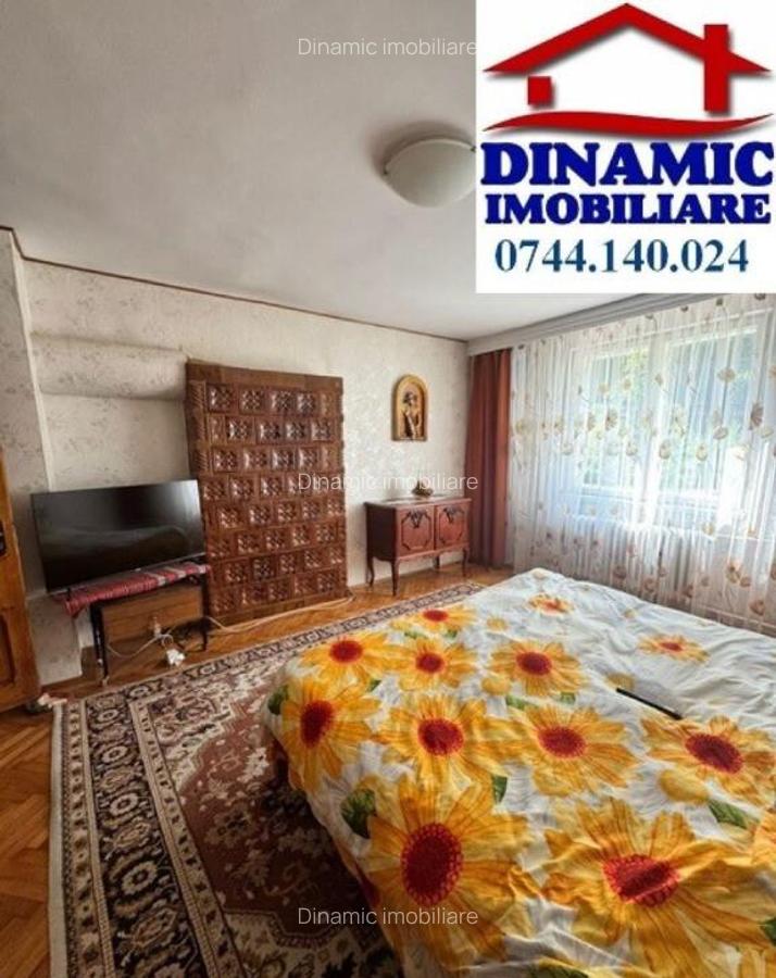 Casa Batca Doamnei + 2500 mp teren, 249 000 EURO - 16