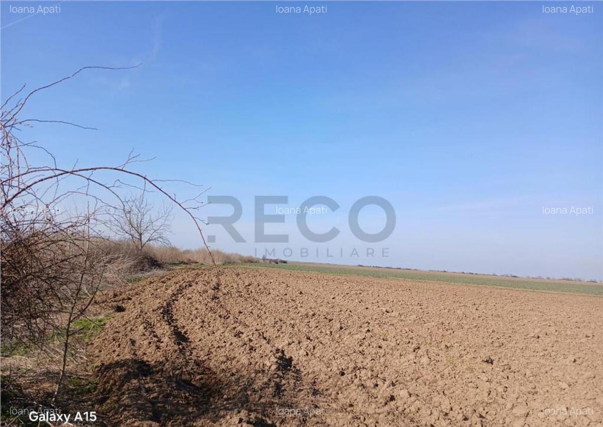 RECO Teren intravilan aproape de zona industriala Biharia - 1
