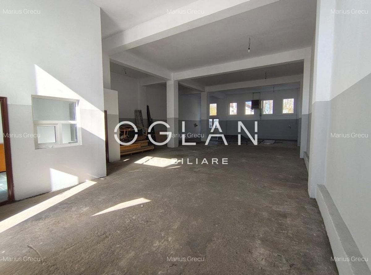 Spatiu comercial 450 mp (P+E)- zona Terezian - 13