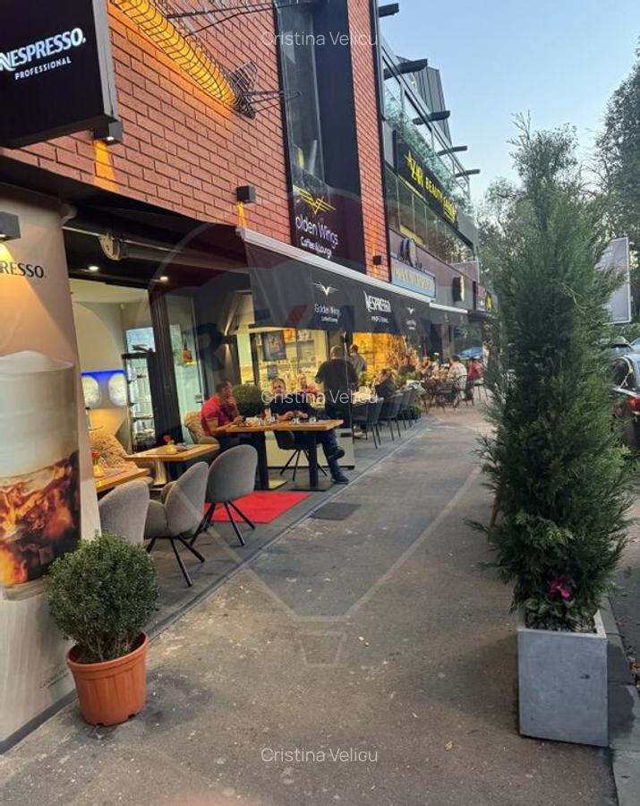 SPATIU COMERCIAL STRADAL - PARC HERASTRAU - 2