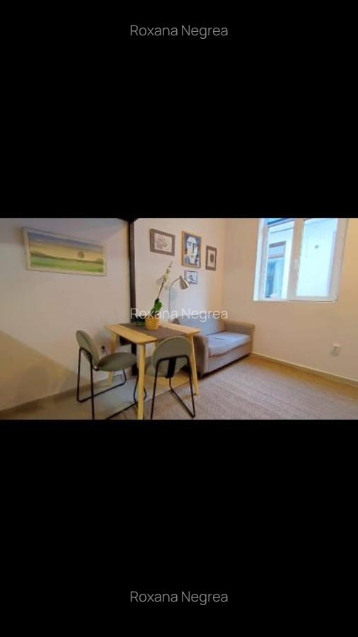 Apartament tip studio,in zona ultracentrala - 3
