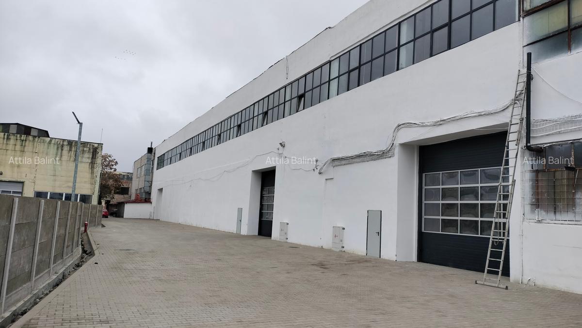 Inchiriez hala 488 mo zona Sagului - 3