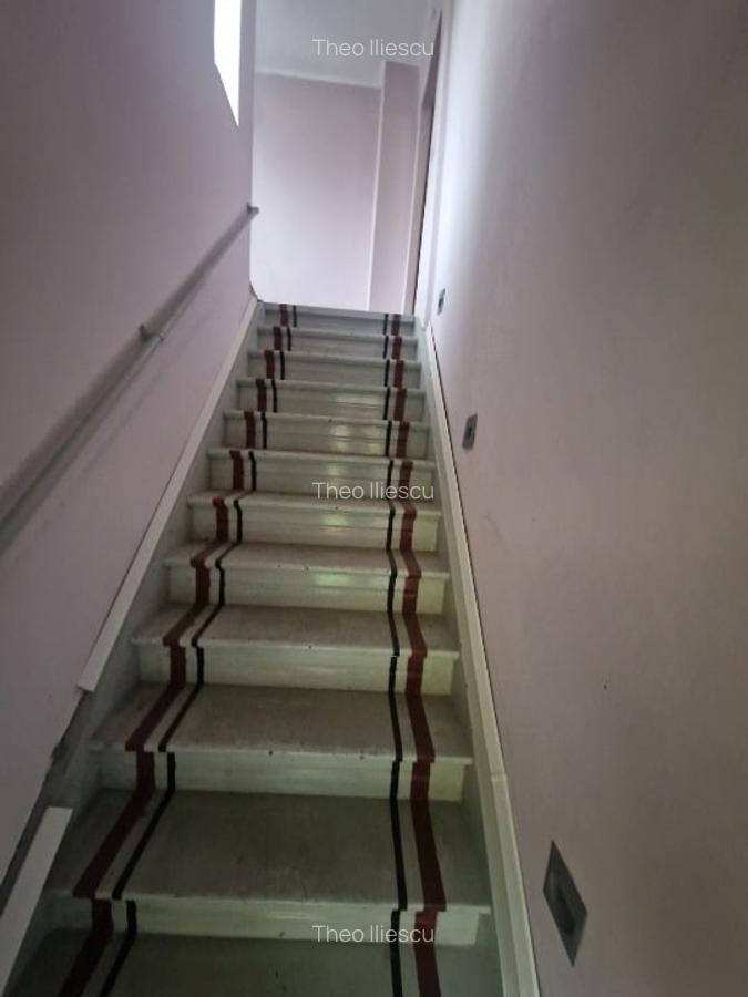 Vila Cotroceni singur in curte - 4