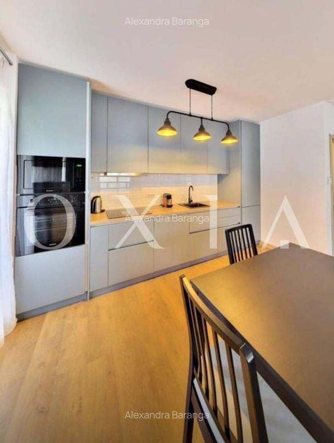 AX1134 ISHO, Take Ionescu, Loc De Parcare Subteran - 4