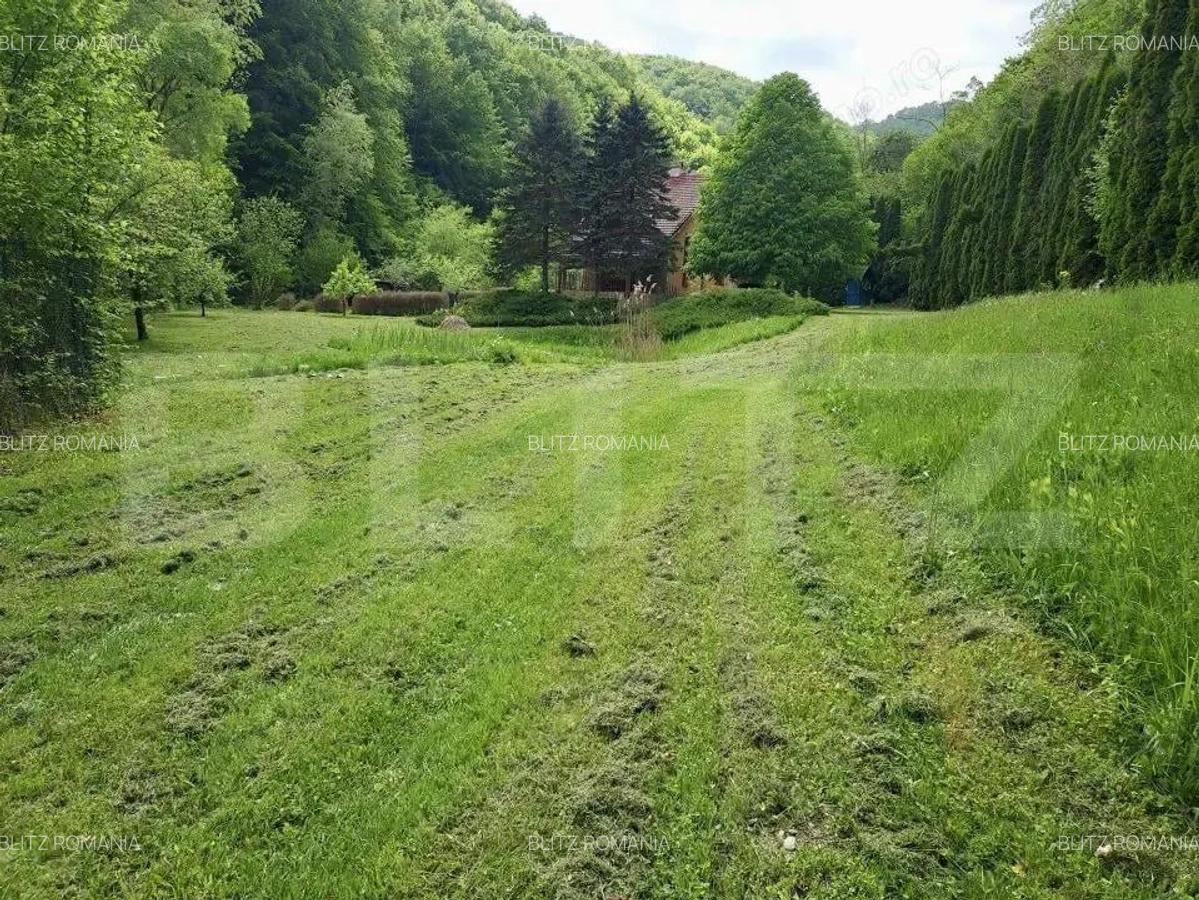 Casa de Vacan?a pe Valea Ighielului 3 camere, 2500 mp curte - 15