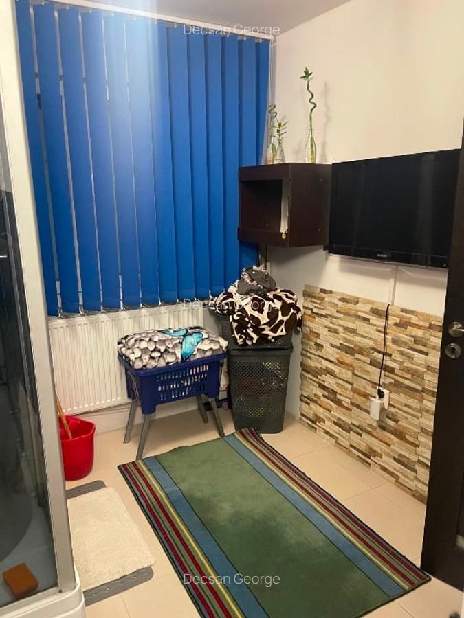 Apartament camere Berceni Brancoveanu Lamotesti - 2