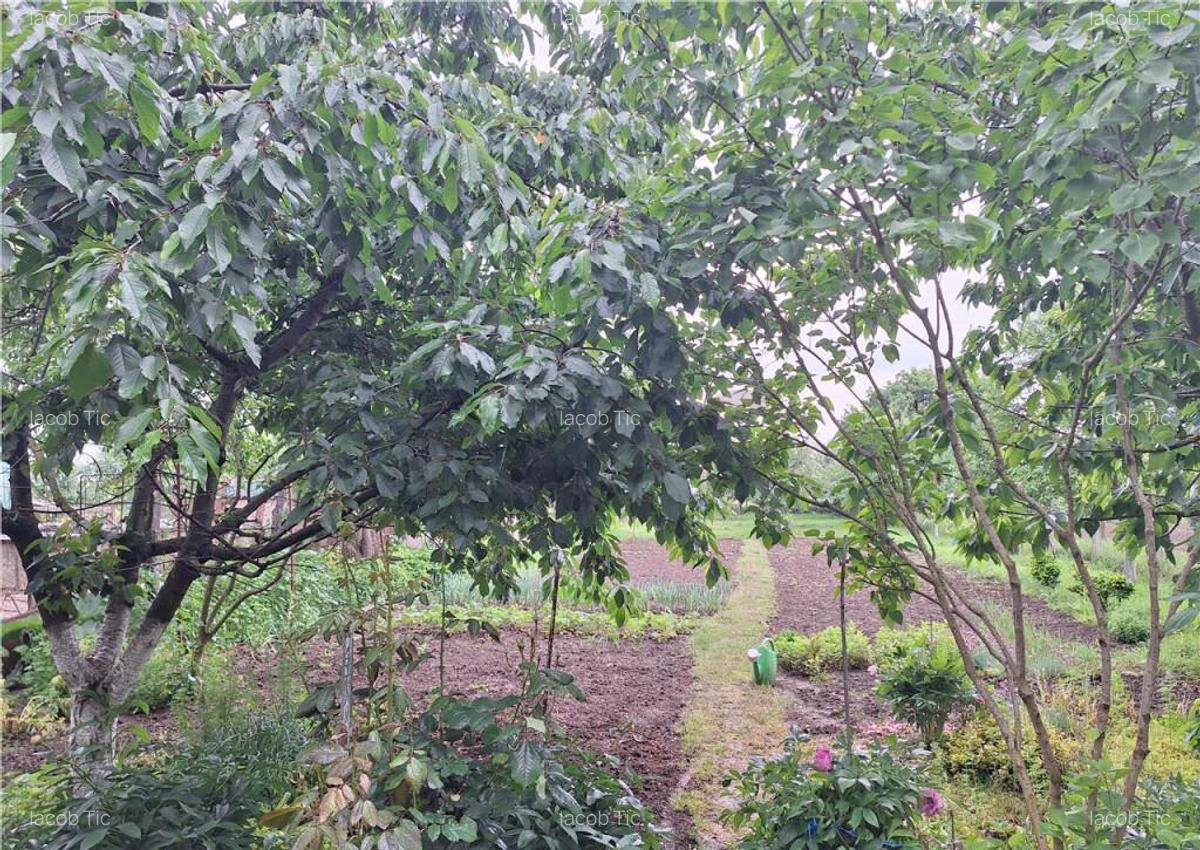 Reco, casa gepiu - 4