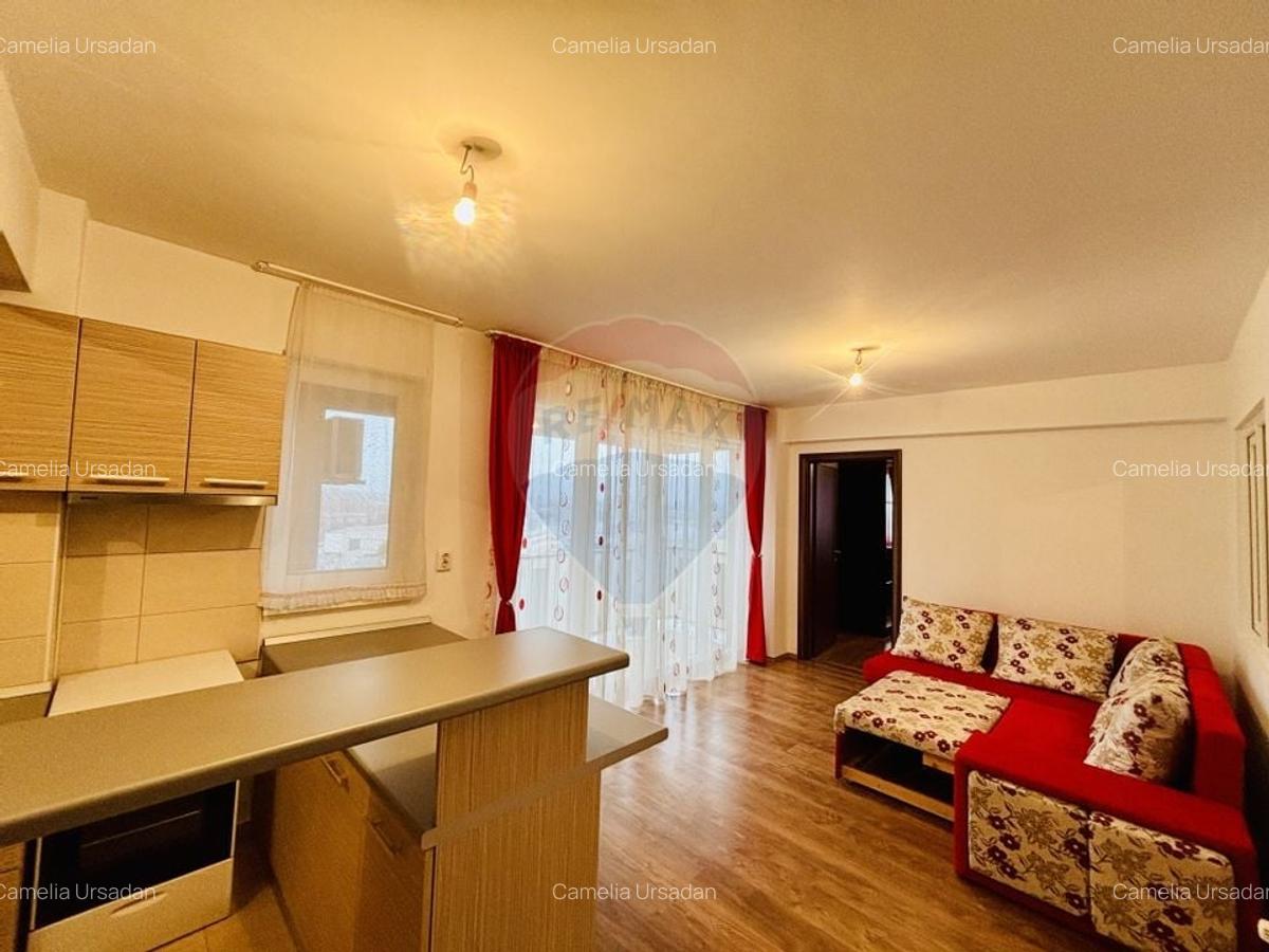 Apartament cu 3 camere de inchiriat in zona Nufarul - 5