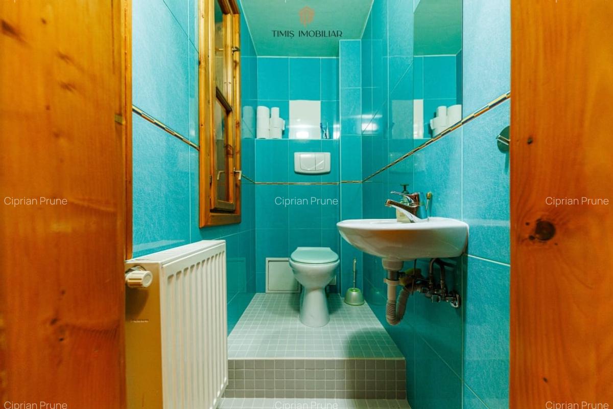 Apartament cu terasa si boxa, in Palatul Adolf Hanecker | Mal Bega - 33
