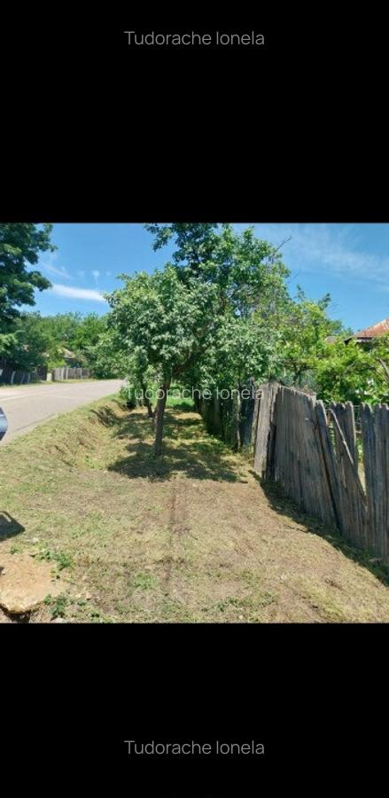 Vand casa in Teleorman, sat Albeni - 9