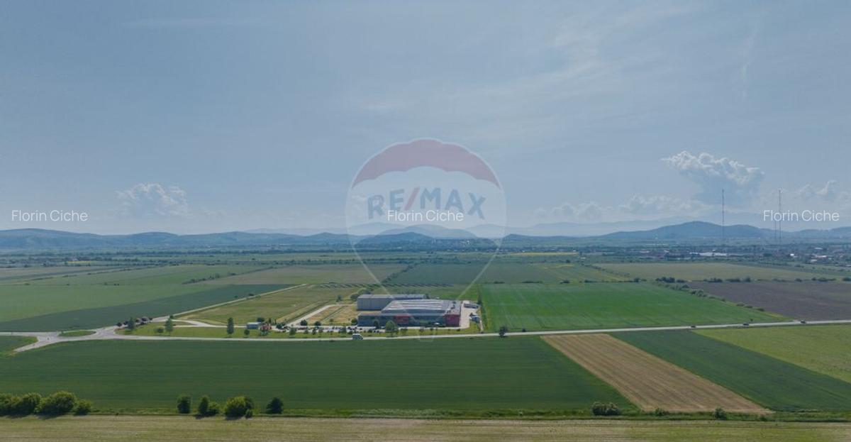 Teren industrial de vanzare DN13, Brasov - 4