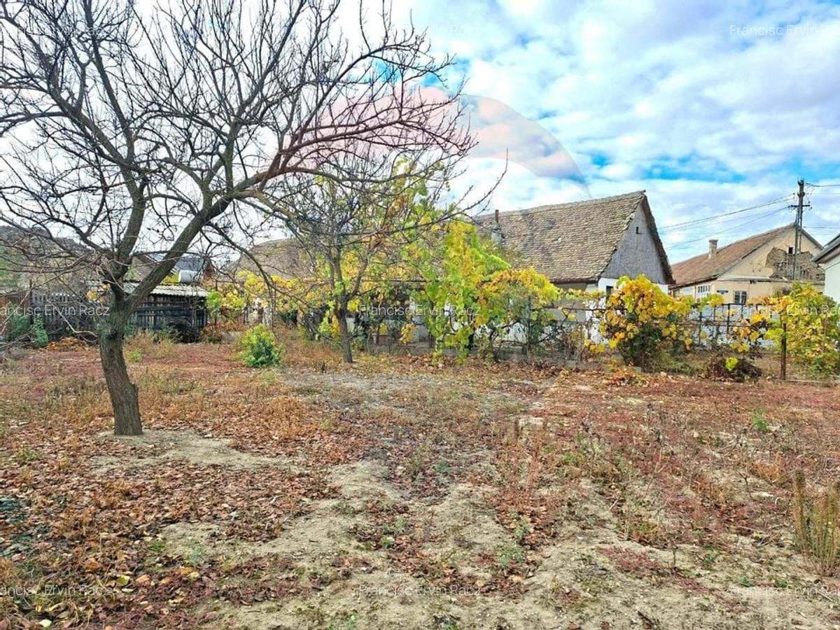 Casa veche cu teren 929 mp- oportunitate in Vladimirescu- comision 0% - 6