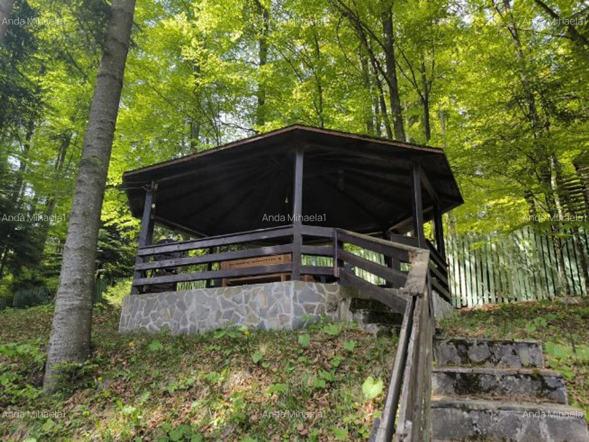 Vilă si 765 mp curte lângă Castelul Peleș - 3