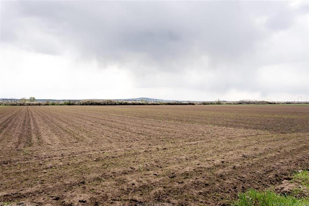 Teren Construcții intravilan de 5663 mp, în Oșorhei - 6