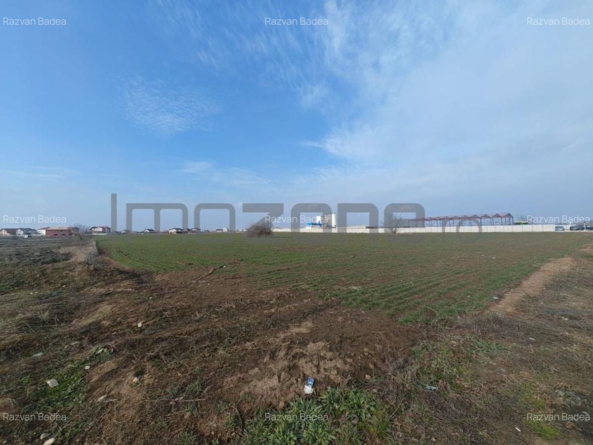 Dragomiresti Valea - Langa Centura, teren 15.600 mp, 35E/mp - 10