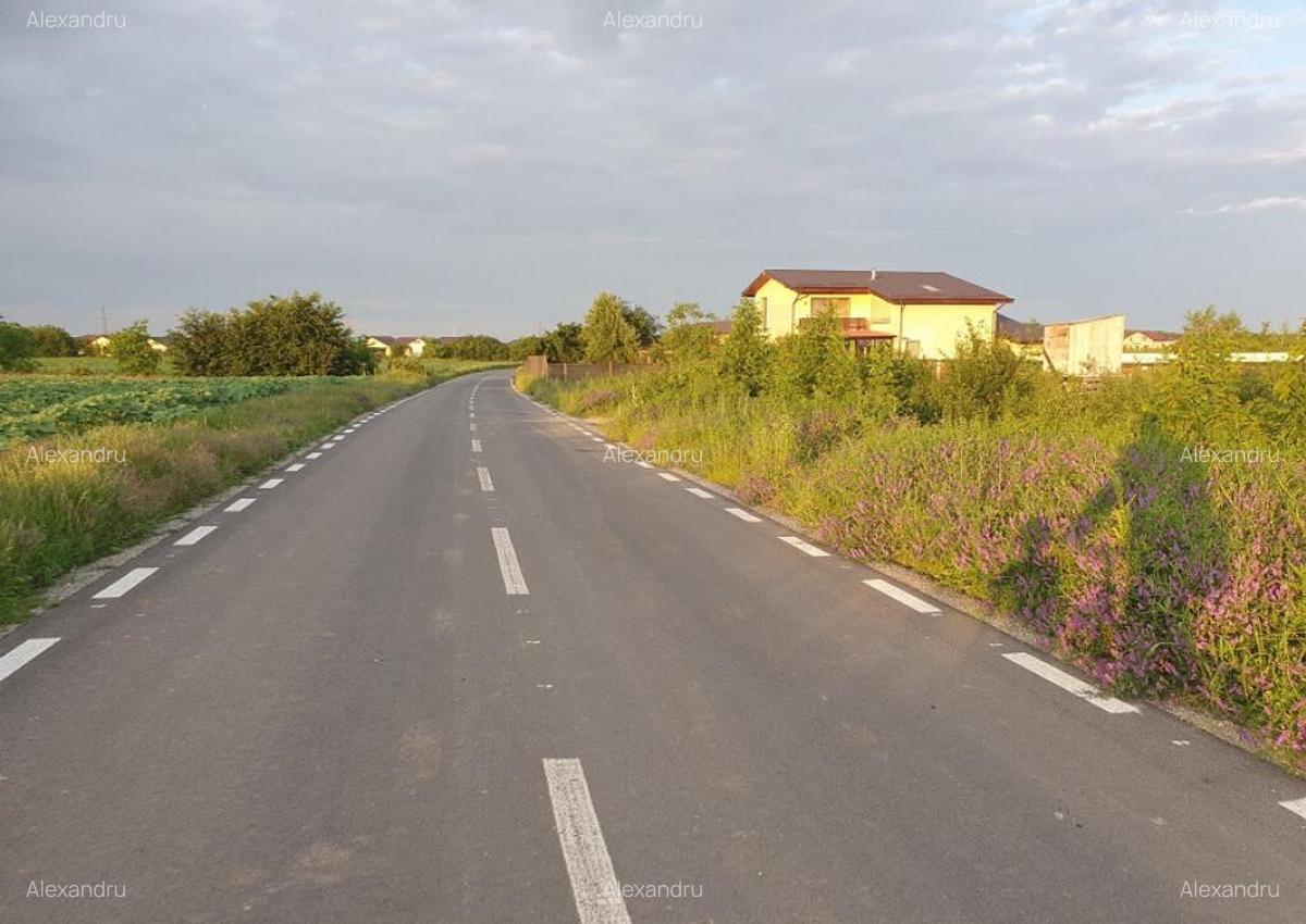Lot teren Balotesti,langa case noi-50 m de asfalt 600mp - 3