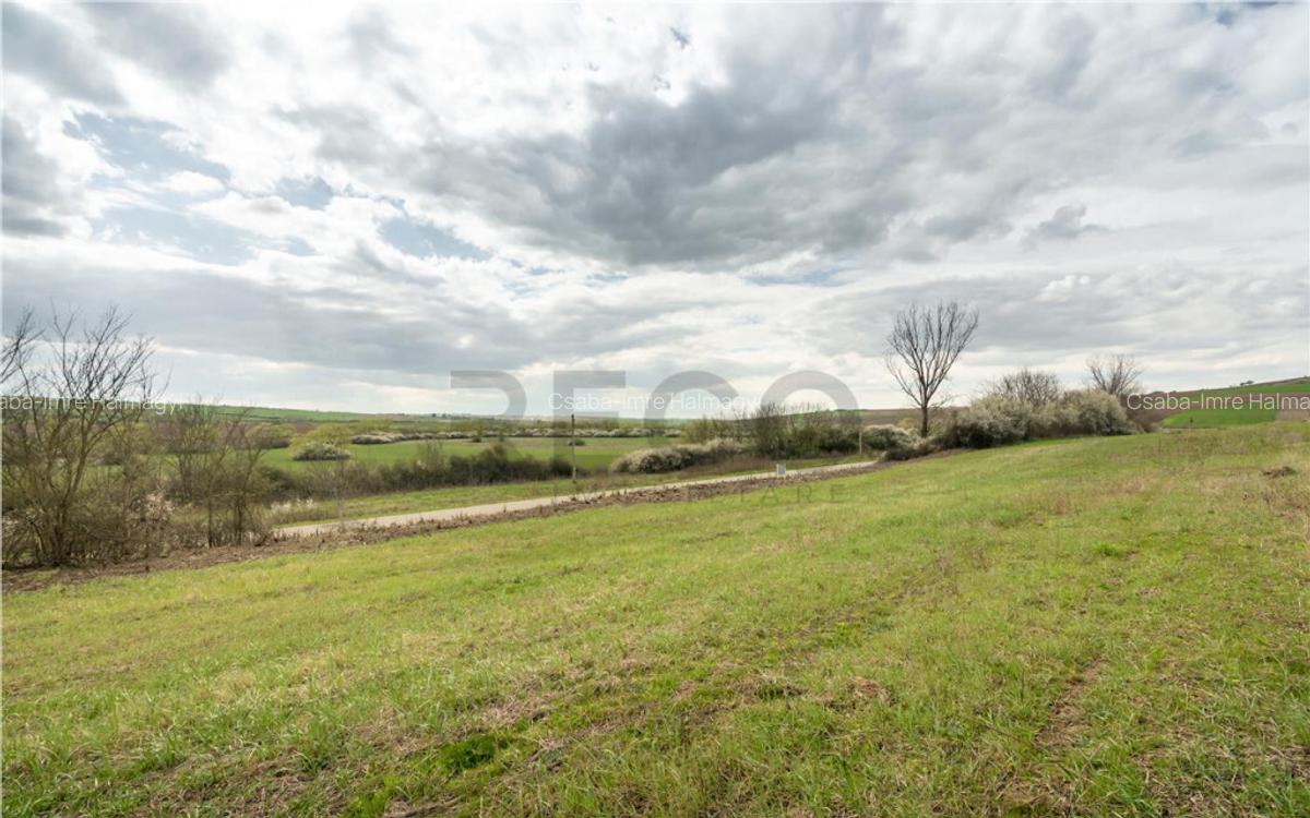 Teren intravilan Cetariu - 7