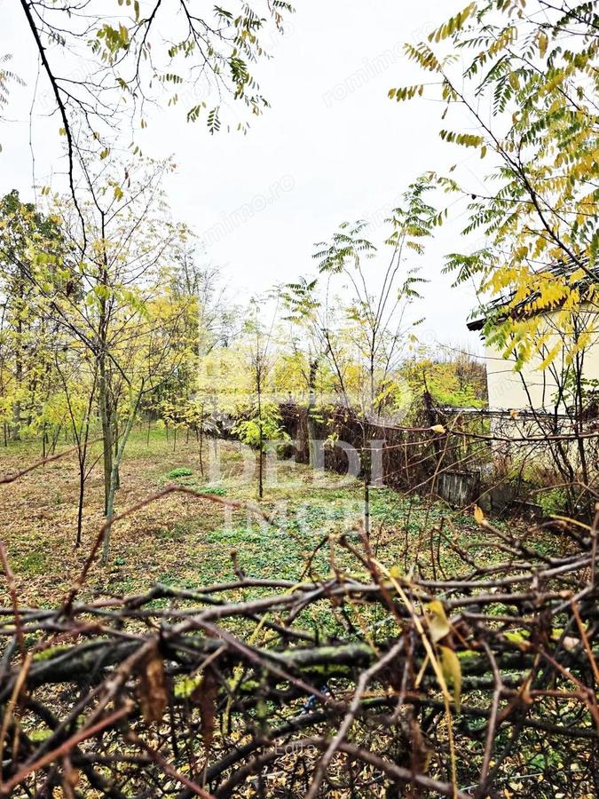 Casa de vanzare cu teren de 1532 mp in satul Berini, Timis - 4
