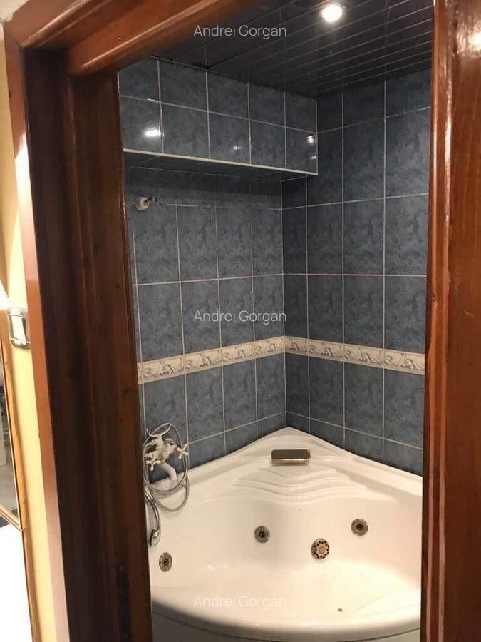 Apartament cu 4 camere in zona Anastasie Panu - 8