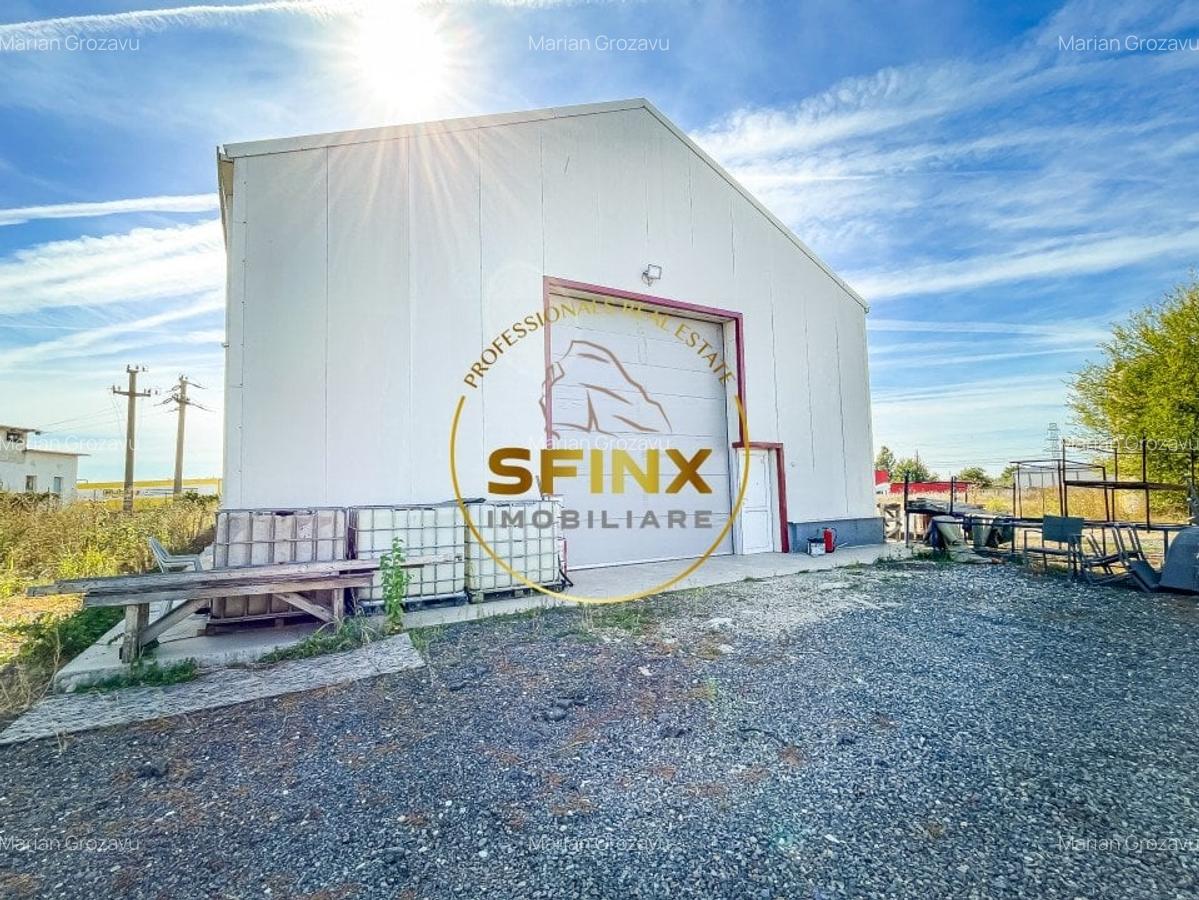 Spatiu logistic teren 12.452 mp hala 430 mp - 3