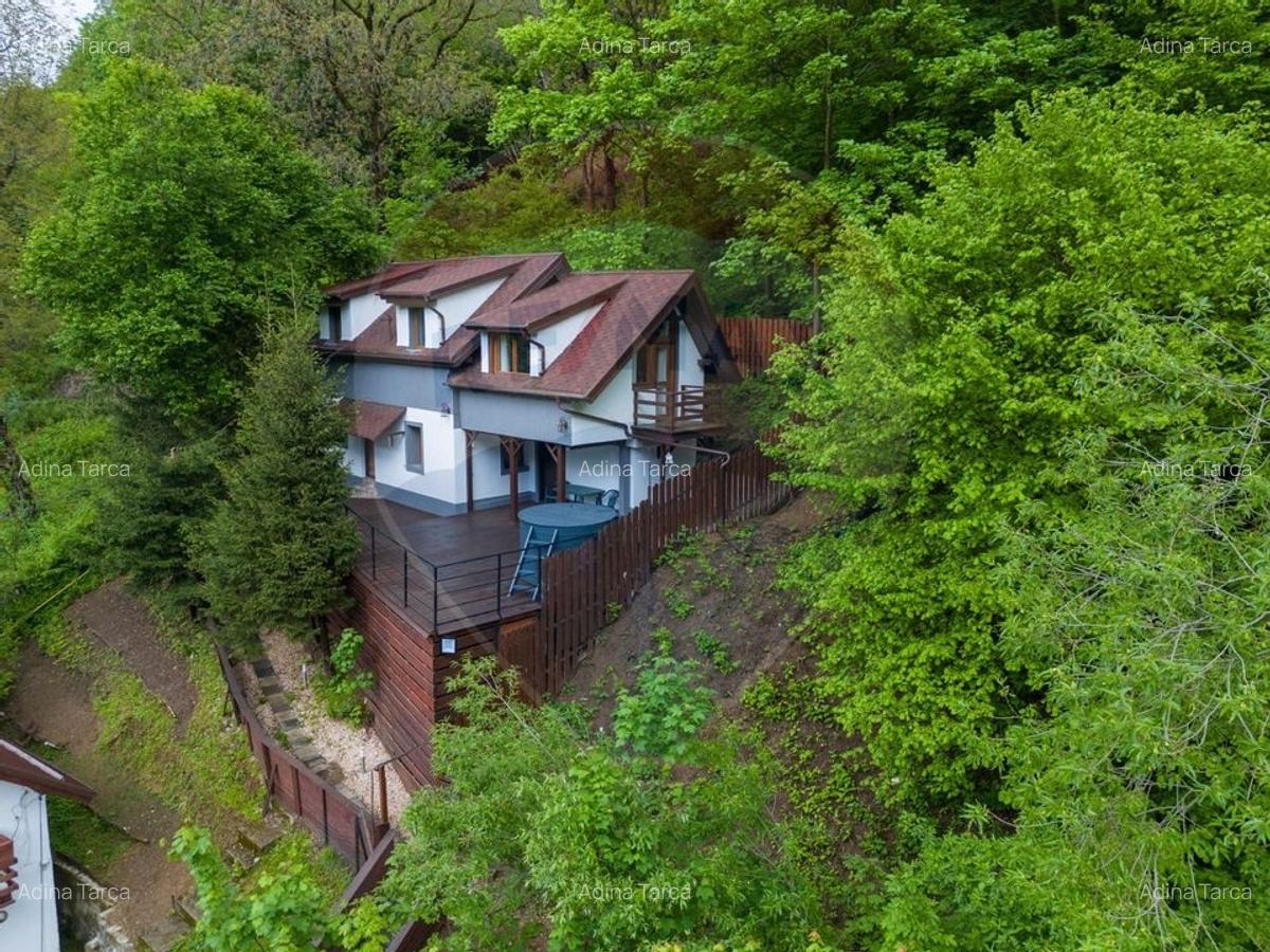 Casa in inima naturii - Brasov - 38