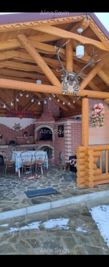 Casa  Asau + 4800 teren - 10