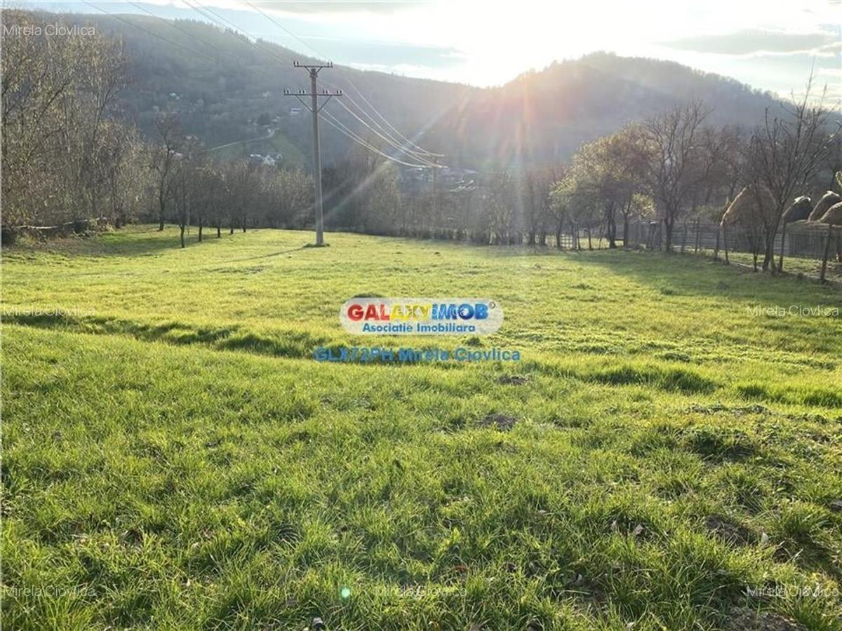 Teren Construcții intravilan de 4530 mp, în Secăria - 3
