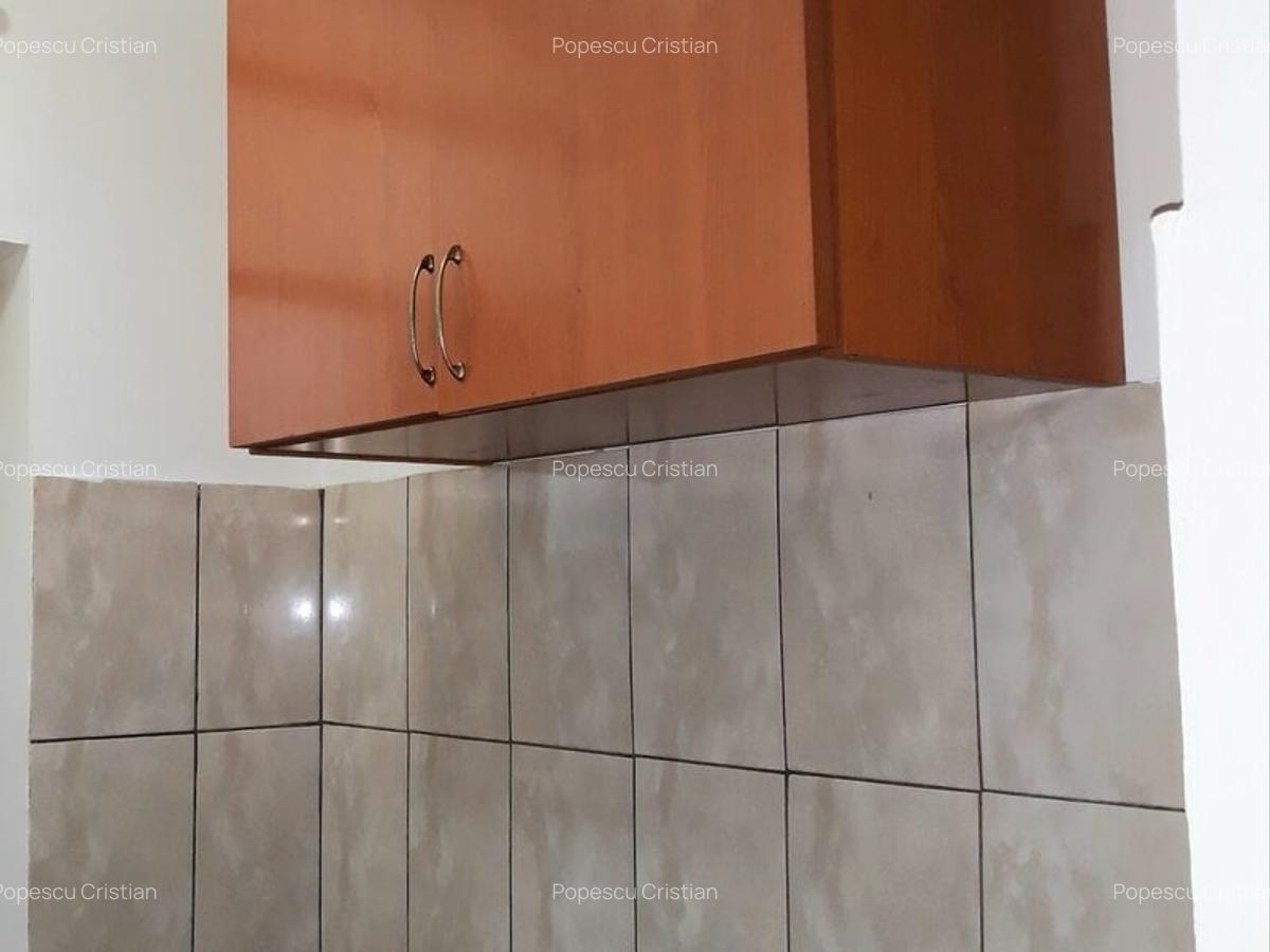 Colentina, Doamna Ghica, Parc Plumbuita, semistradal, mobilat si utilat - 10
