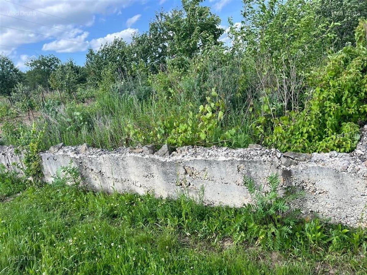 RECO TEREN CU FUNDATIE IN PETREU - 2