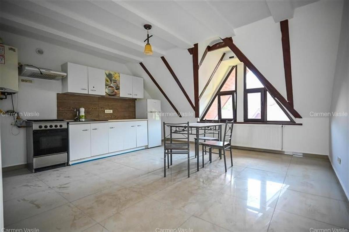 FILM! Ansamblu rezidential/ investitional/ comercial, Baciu, Sacele, Brasov - 22