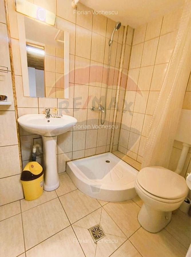 Vila individuala de inchiriat in Bucuresti, Eminescu-Vasile Lascar - 2