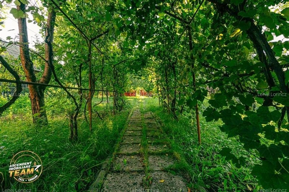 FILM! Peste 800mp teren cu casuta, areal estimabil, Lenin, Sfantu Gheorghe - 10