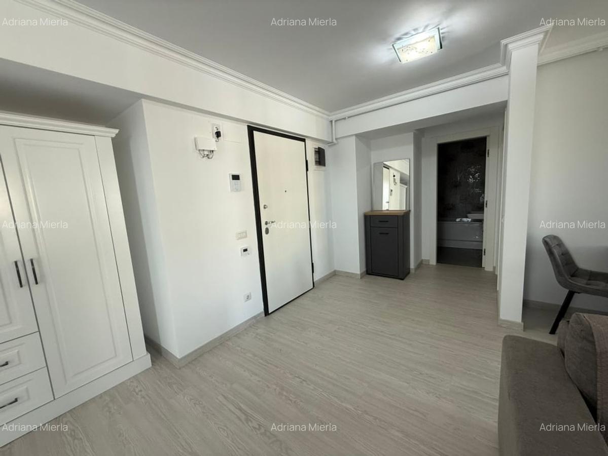 Apartament, 2 camere, 60 mp, open space, Lapus Arges , Zona Trenul Pierdut - 8