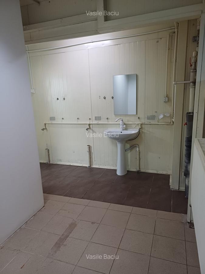Spațiu industrial, 544 mp în Griviței - 7