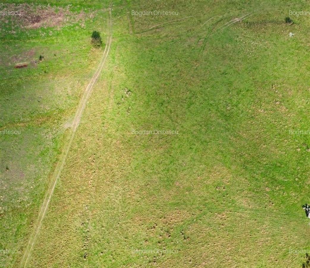 Teren Construcții intravilan de 3103 mp, în Plaiul Foii - 2