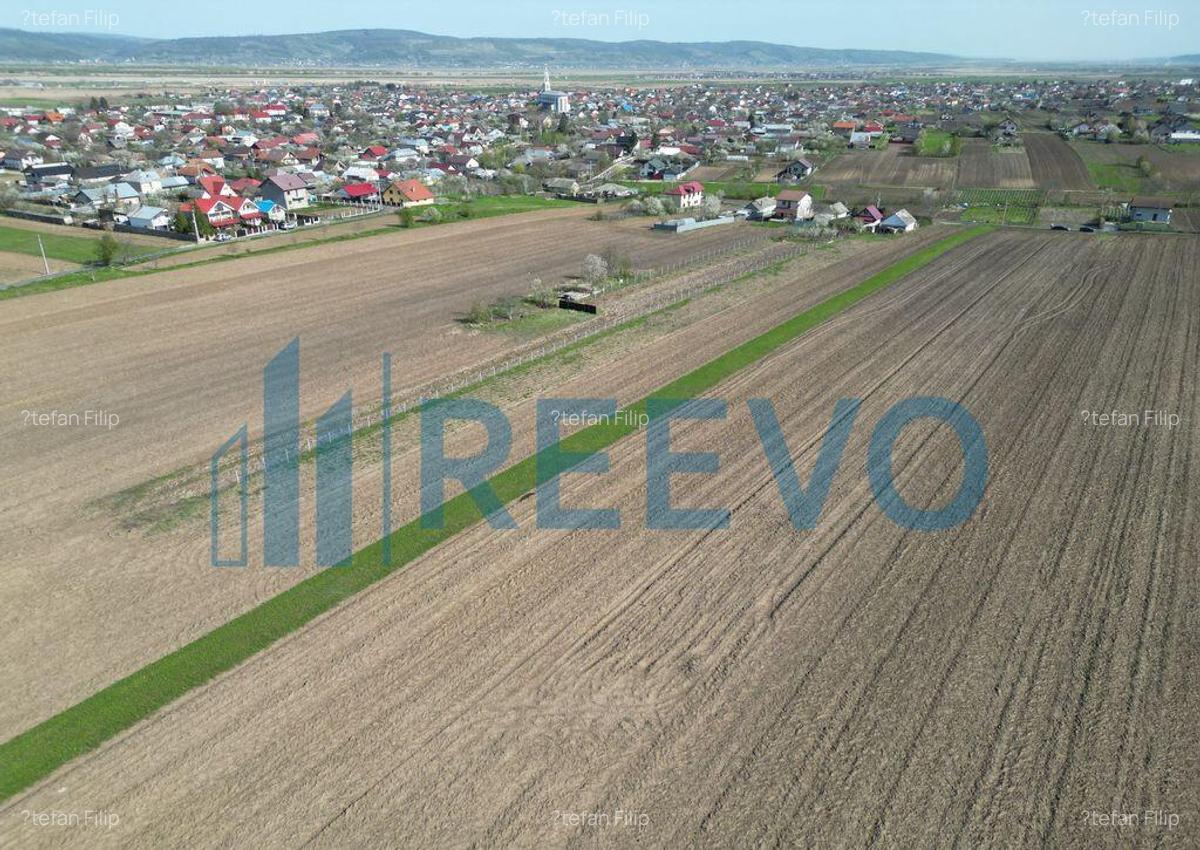 Teren de vanzare, Com. Nicolae Balcescu, Jud. Bacau - 25 Teren de vanzare, Com. Nicolae Balcescu, Jud. Bacau - 25