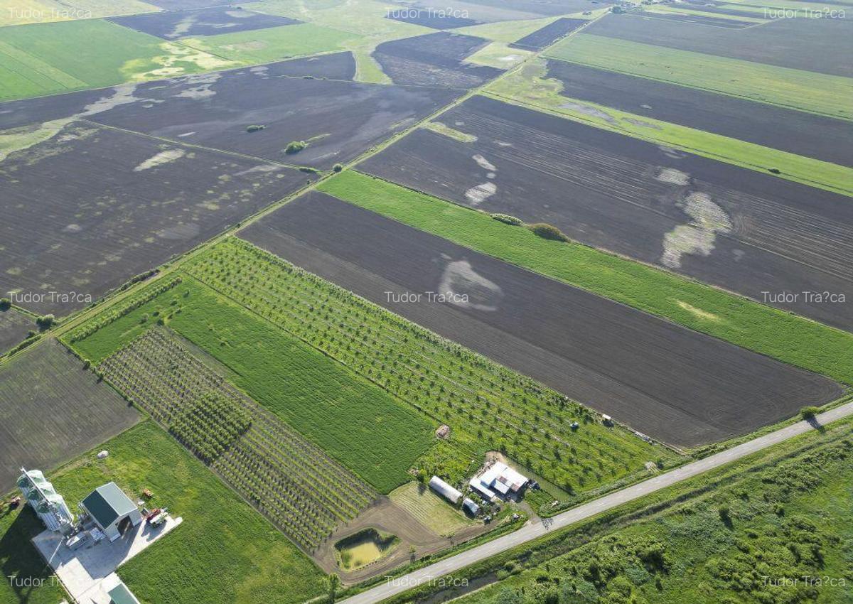 Livada de nuci ?i pruni 2.4ha in Varia?ul Mare - 5