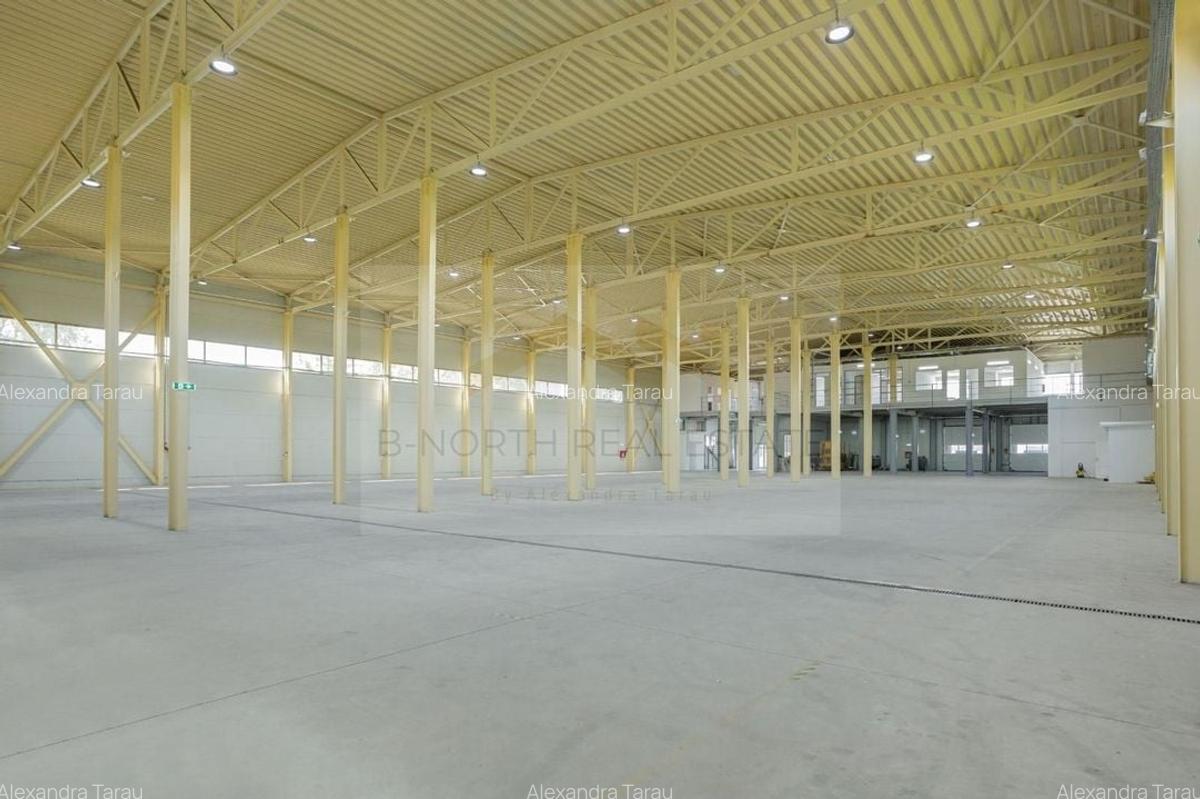 Hala industrială 2.000 mp • Depozitare / Producție • Rampe încărcare • Otopeni - 18
