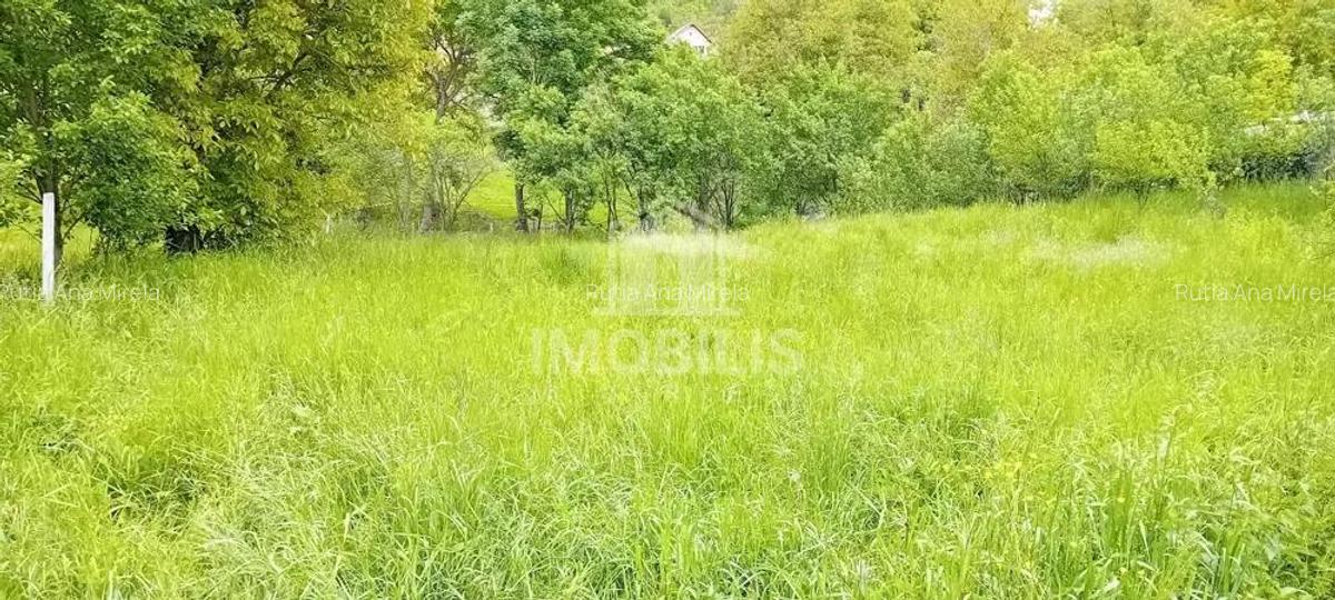 Teren intravilan | Budiu Mic | 994 mp - 7