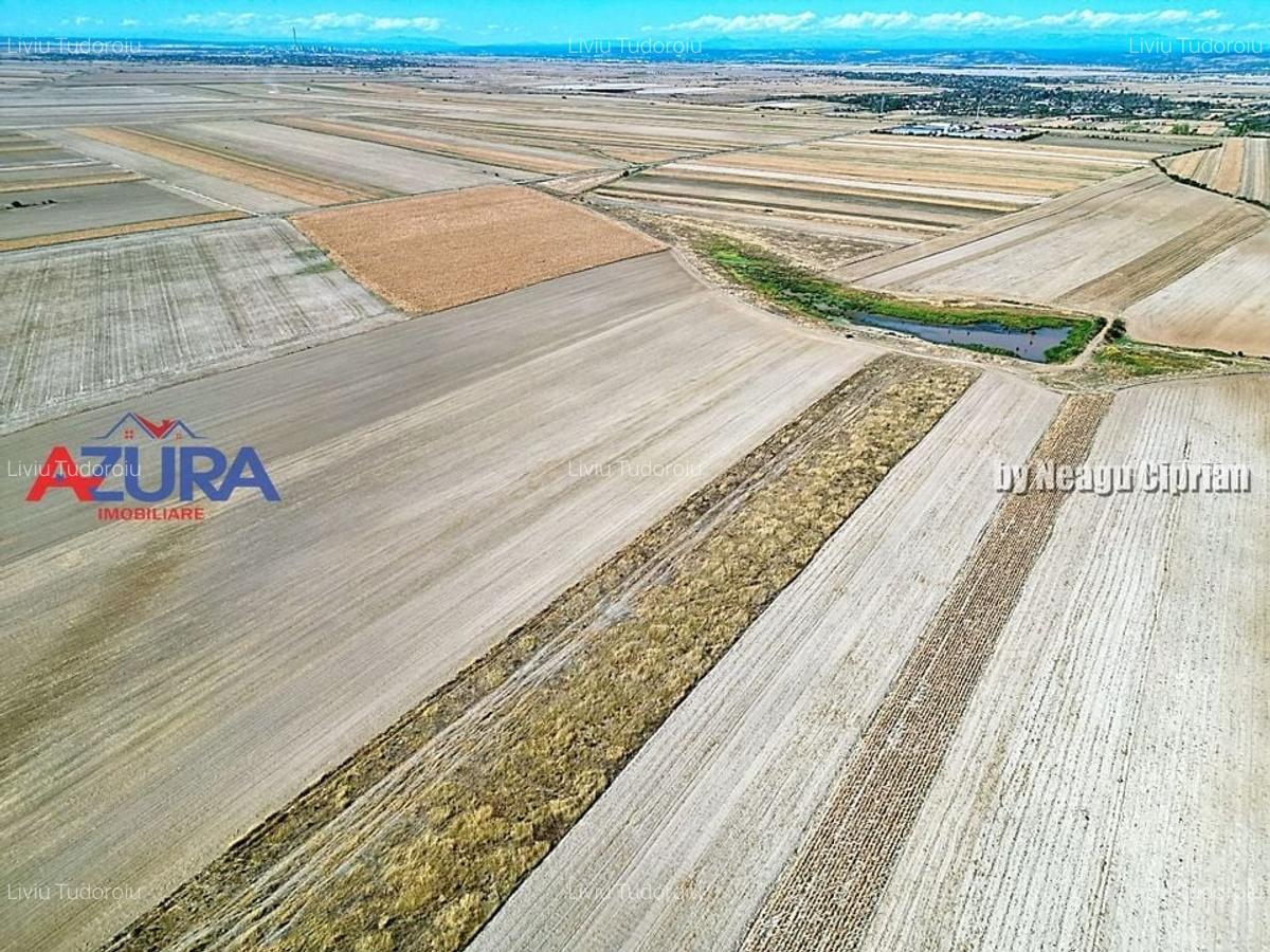 Teren agricol, 5HA, comasat, drum acces, Cateasca - 6