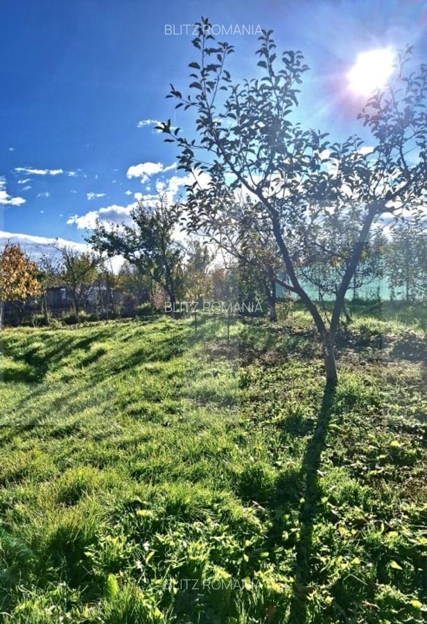 Casa batraneasca cu teren generos, in satul Manastireni - liniste si natura - 5