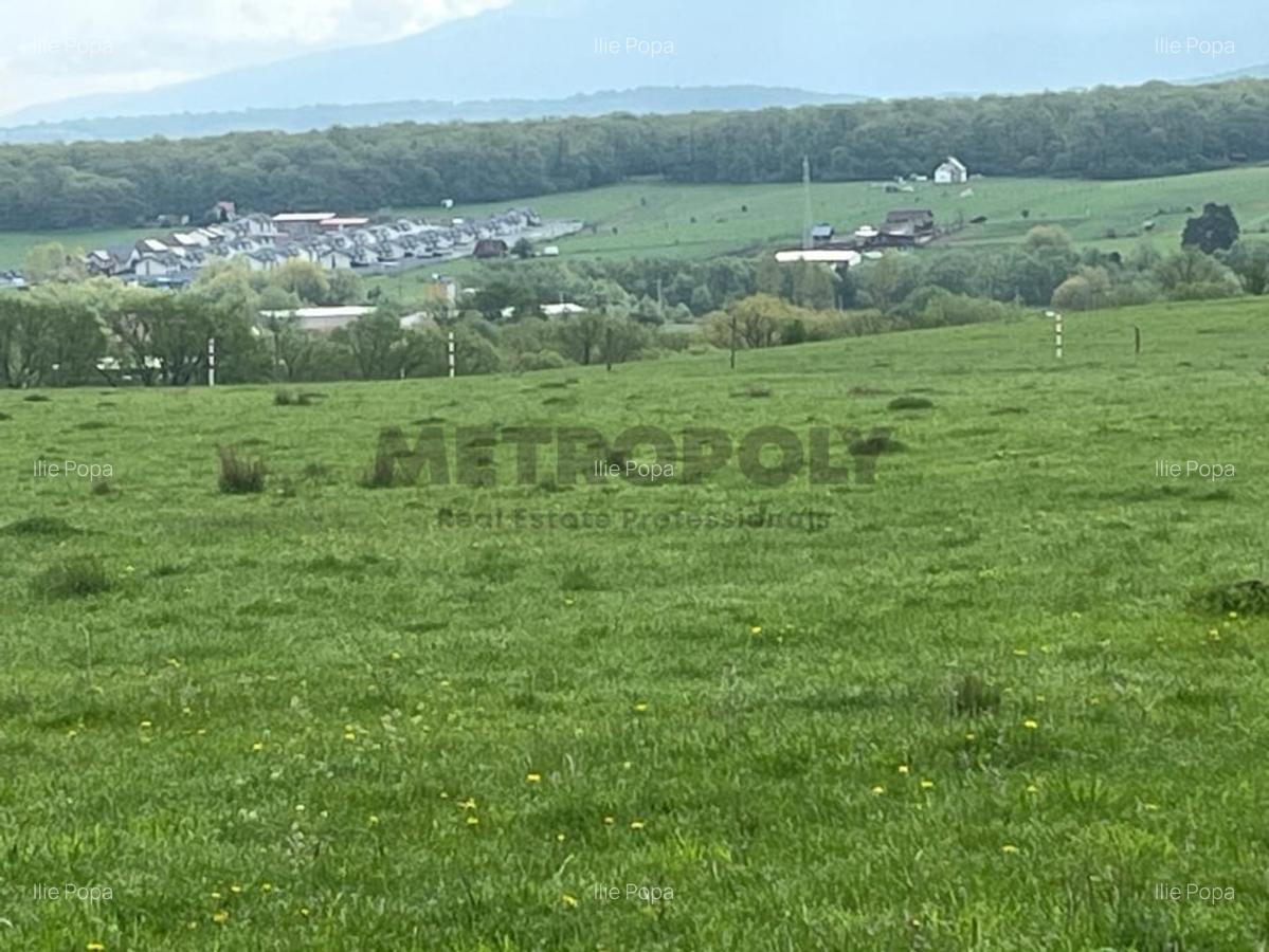 Teren intravilan 438 mp | Calea Cisnadiei - Str. Zorilor | Potential excelent - 4