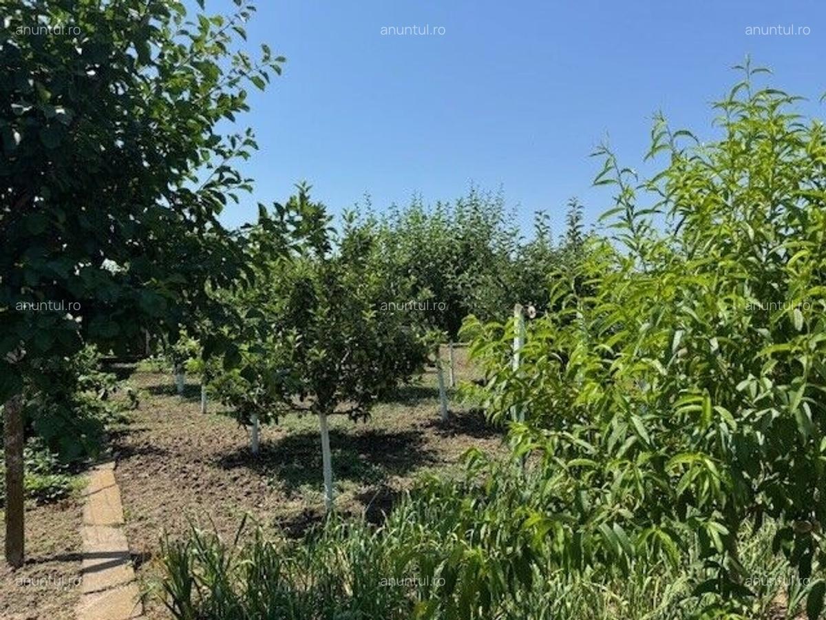 Corabia Olt Casa de vanzare 4 camere - 11
