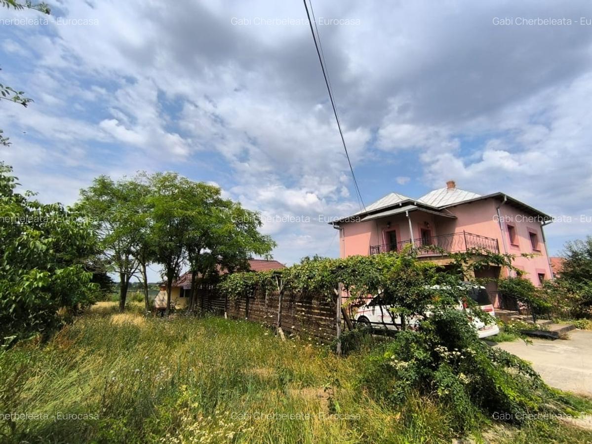 Case Parvu Rosu -Costesti la 13 km de Pitesti - 2